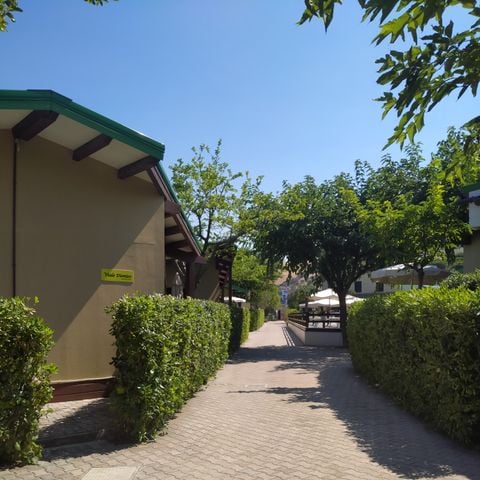 House 6 persons - House 3 rooms