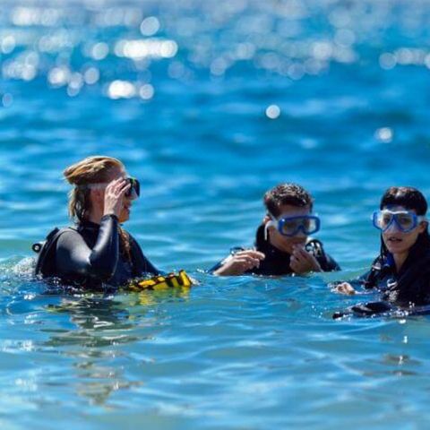 Camping Portosole Camping Portosole - Camping Istrie - Image N°20