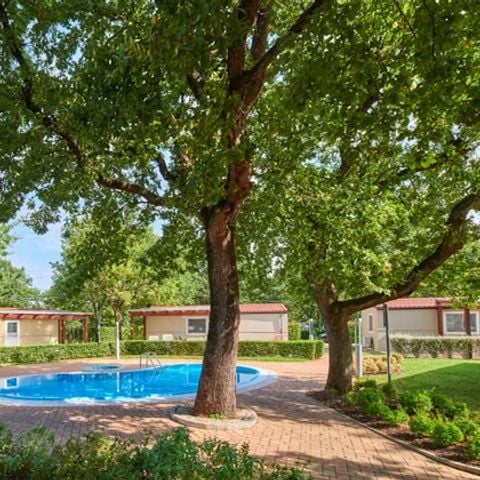 Casa mobile 4 persone - Casa mobile di categoria superiore con vista sulla piscina