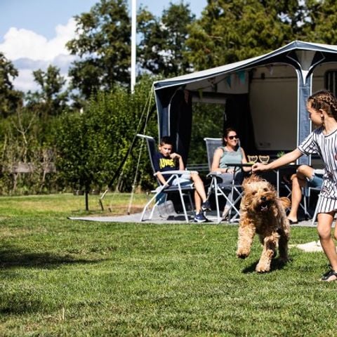 STAANPLAATS - Comfortplaats hond toegestaan