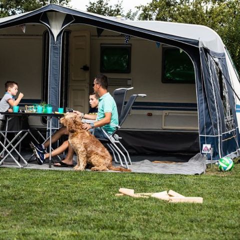 Kampeerplaats - Comfortplaats L honden toegestaan