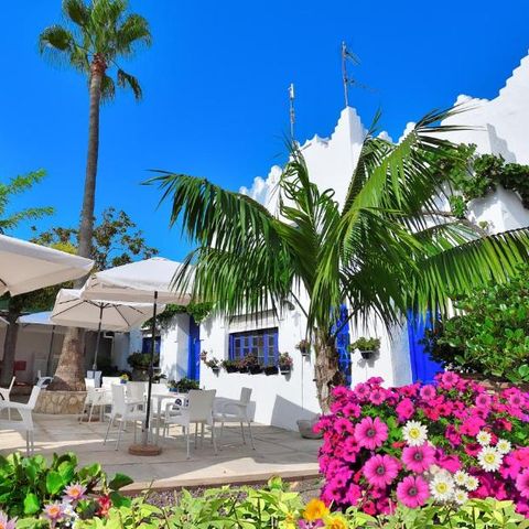 Camping Estanyet - Camping Tarragona - Image N°6