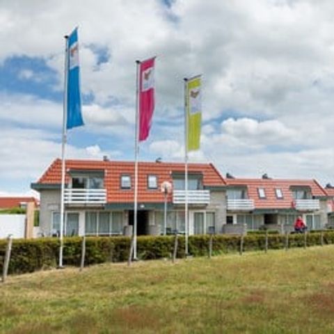 Roompot Appartementencomplex Bosch en Zee Roompot Appartementencomplex Bosch en Zee - Camping Texel - Image N°12