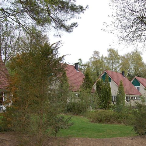 Roompot Vakantiepark Hellendoorn Roompot Vakantiepark Hellendoorn - Camping Hellendoorn - Image N°22