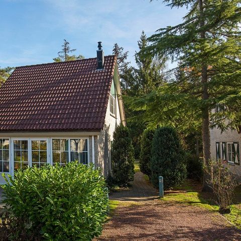 Roompot Vakantiepark Hellendoorn Roompot Vakantiepark Hellendoorn - Camping Hellendoorn - Image N°21