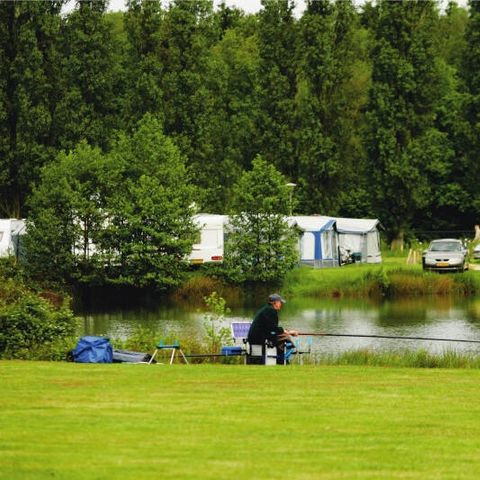 Roompot Klein Vink Roompot Klein Vink - Camping Arcen - Image N°20