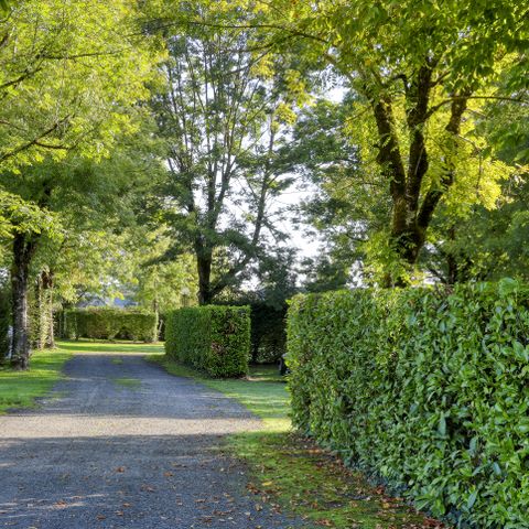 Stellplatz - Stellplatz für eine Person mit Strom 1/6 Pers.