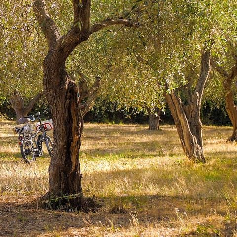 EMPLACEMENT - Emplacement Terrasse