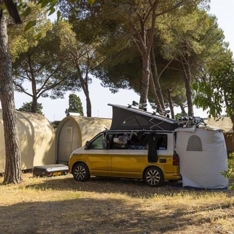 PIAZZOLA - Posizione della pineta
