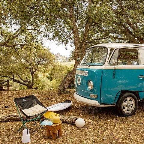 STAANPLAATS - Locatie dennenbos