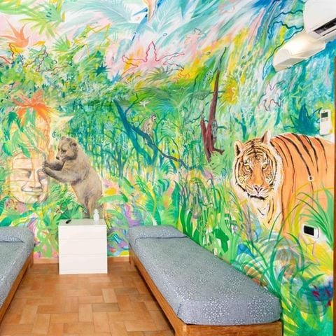 APPARTEMENT 4 personen - Heerschappij van het Jungle Huisje