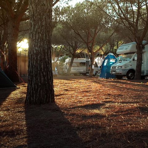 Kampeerplaats - Comfortabele locatie