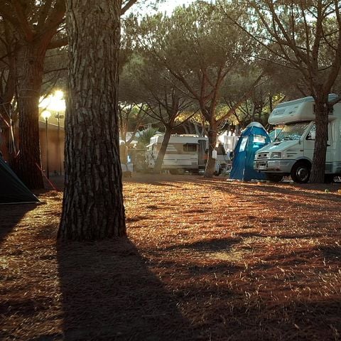 Pitch - Comfort location