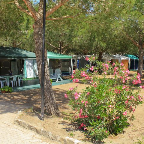 Kampeerplaats - Comfortabele locatie