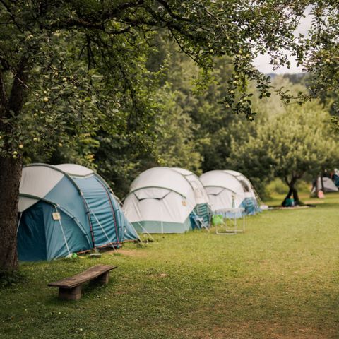 Tent 4 personen - Familietent met 2 kamers (zonder eigen badkamer)