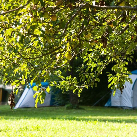 TENDA DA CAMPEGGIO 3 persone - Tenda con posti letto (senza bagno privato)
