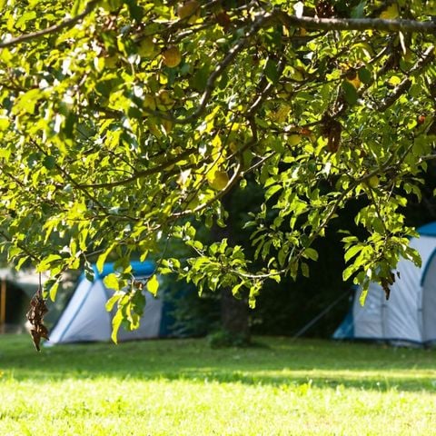 TENT 3 people - Tent with sleeping accommodation (without private bathroom)