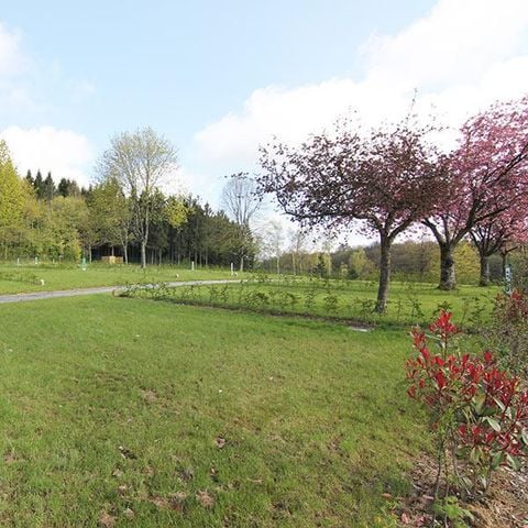 PARCELA - Parcela + vehículo