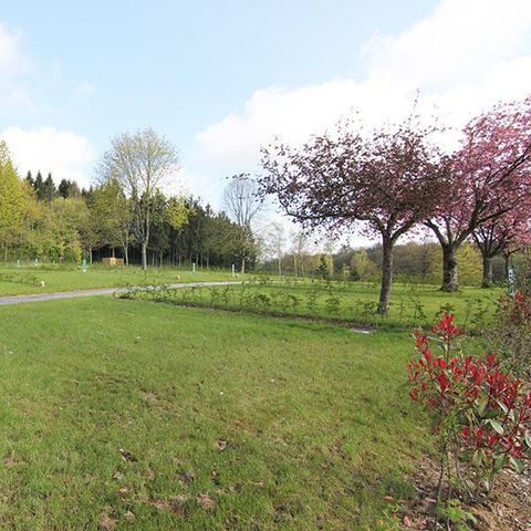 STAANPLAATS - Standplaats + voertuig