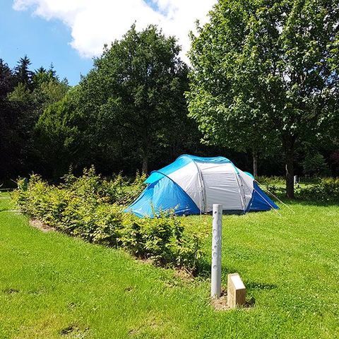 PLOT - Pitch + vehicle