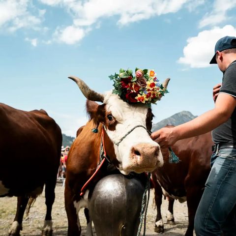 Résidence Goélia Le Grand Ermitage - Camping Haute-Savoie - Afbeelding N°3