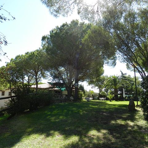 Camping Village Tavolara Camping Village Tavolara - Camping Sassari - Image N°6