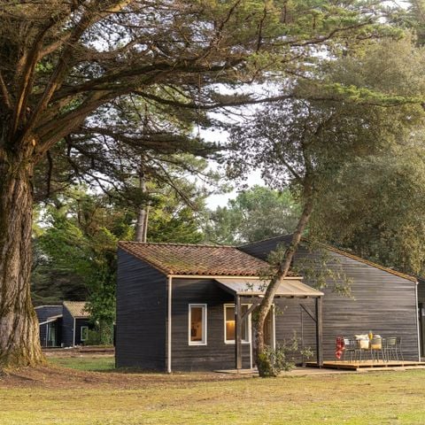 Stacaravan 6 personen - PREMIUM hut | 3 slaapkamers