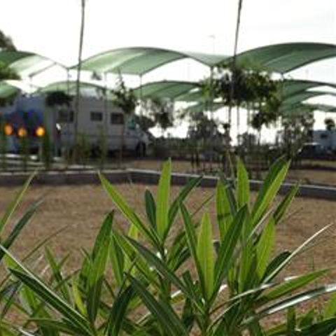 Kampeerplaats - PARK. STANDAARD 55 TOT 65 M2
