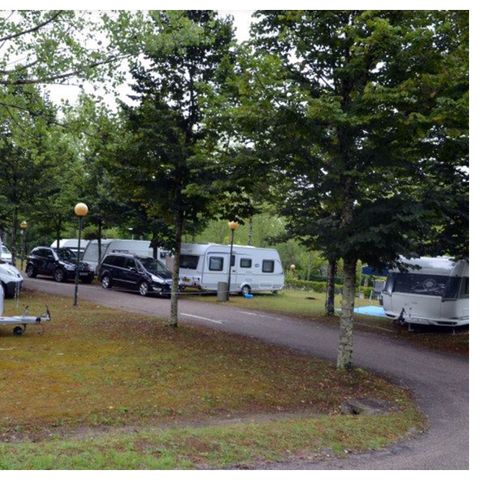 Kampeerplaats - STANDAARD - ca. 60m² elektriciteit 10A