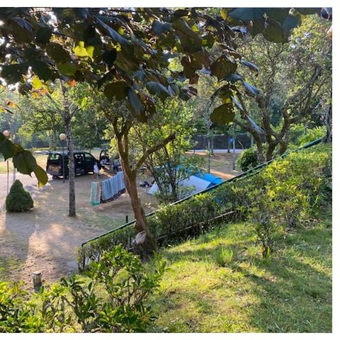 Stellplatz - STANDARD - ca. 60m² Strom 10A