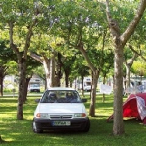 Kampeerplaats - + 1 auto + tent of caravan + elektriciteit