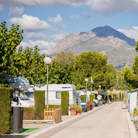 Stellplatz - Parzelle