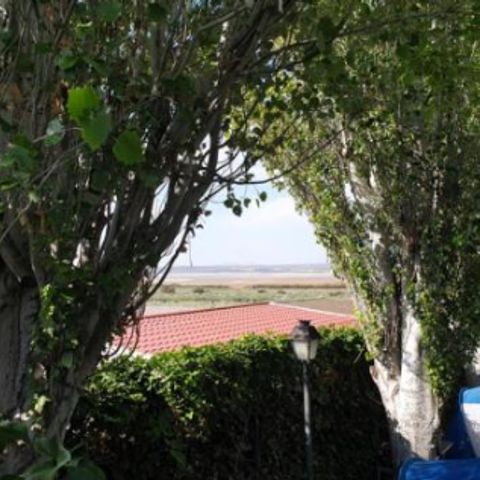 Camping Fuente de Piedra Camping Fuente de Piedra - Camping Andalousie - Image N°15