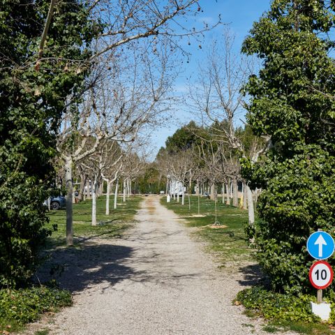 Stellplatz - Standort