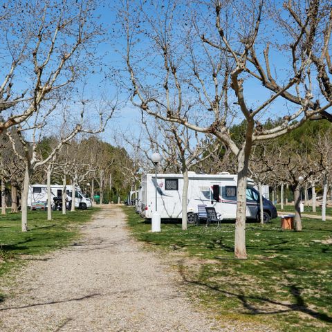 PARCELA - Zona Premium