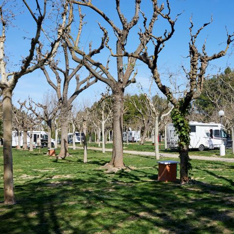 PIAZZOLA - Piazzola Area Premium