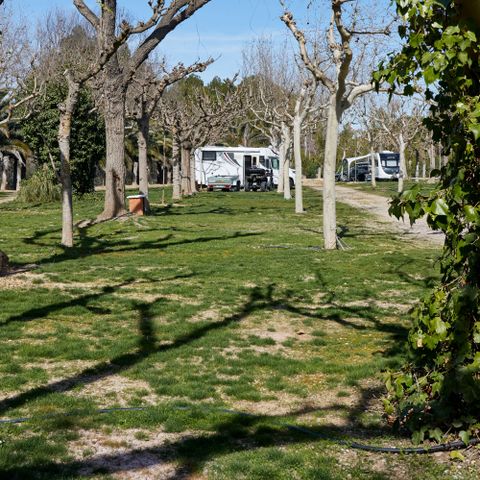 PARCELA - Zona Premium