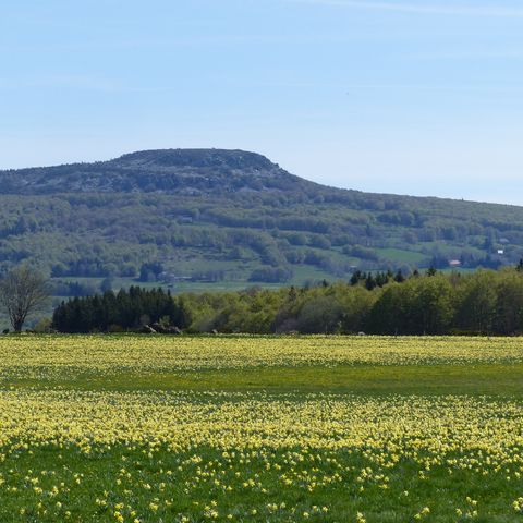 Domaine des Vans - Camping Ardèche