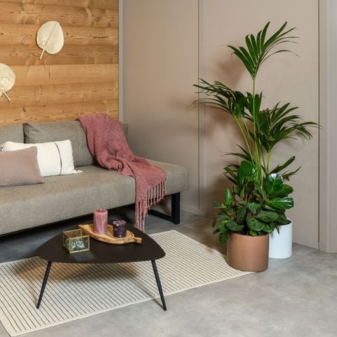 Chalet 5 Personen - 3-Zimmer-Chalet