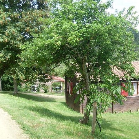 Chalet 4 personen - Chalet Standard 25m² (2 kamers) 2 volwassenen en 2 kinderen - Overdekt terras 10m² 2/4 pers