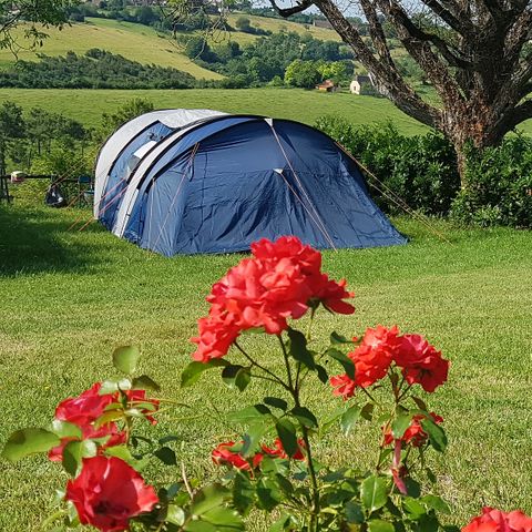 STAANPLAATS - Natuur arrangement (1 tent, caravan of camper / 1 auto) 2/6 pers