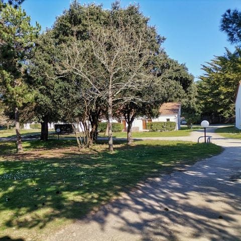 Résidence Les Sables Vignier  - Camping Charente-Maritime - Image N°5