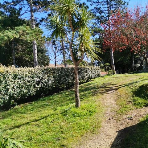 Résidence Les Sables Vignier  - Camping Charente-Maritime - Image N°4