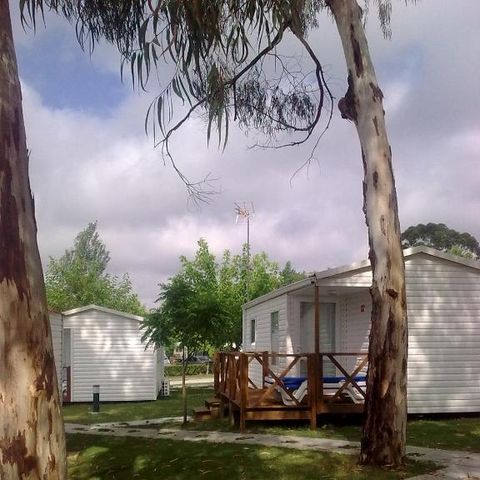Mobile home 5 persons - Neptuno