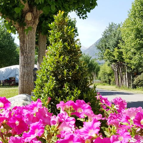 Stellplatz