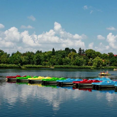 Camping les Chalets du Lac de Clarens Camping les Chalets du Lac de Clarens - Camping Lot-et-Garonne - Image N°10