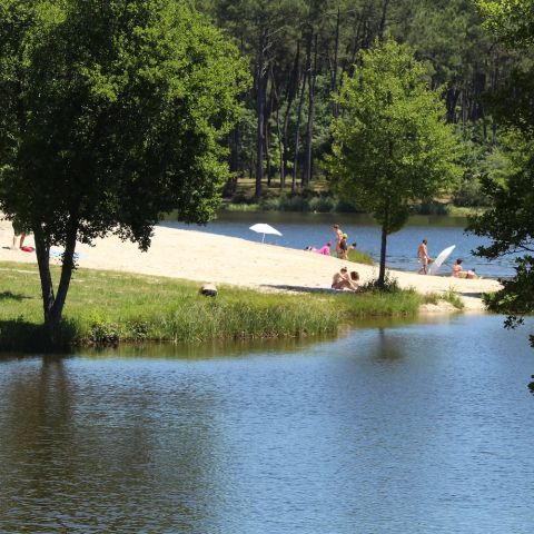 Camping les Chalets du Lac de Clarens Camping les Chalets du Lac de Clarens - Camping Lot-et-Garonne