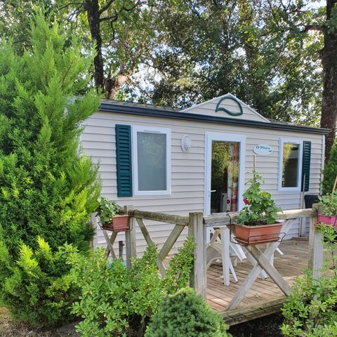 BUNGALOW 4 personnes - Standard - terrasse 