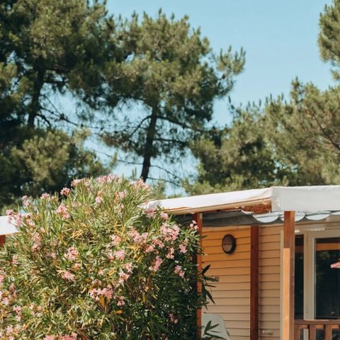 MOBILHOME 4 personnes -  4 Confort
