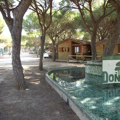 Camping Donana Playa Camping Donana Playa - Camping Huelva - Image N°46